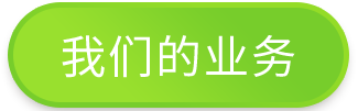 国际站代运营公司